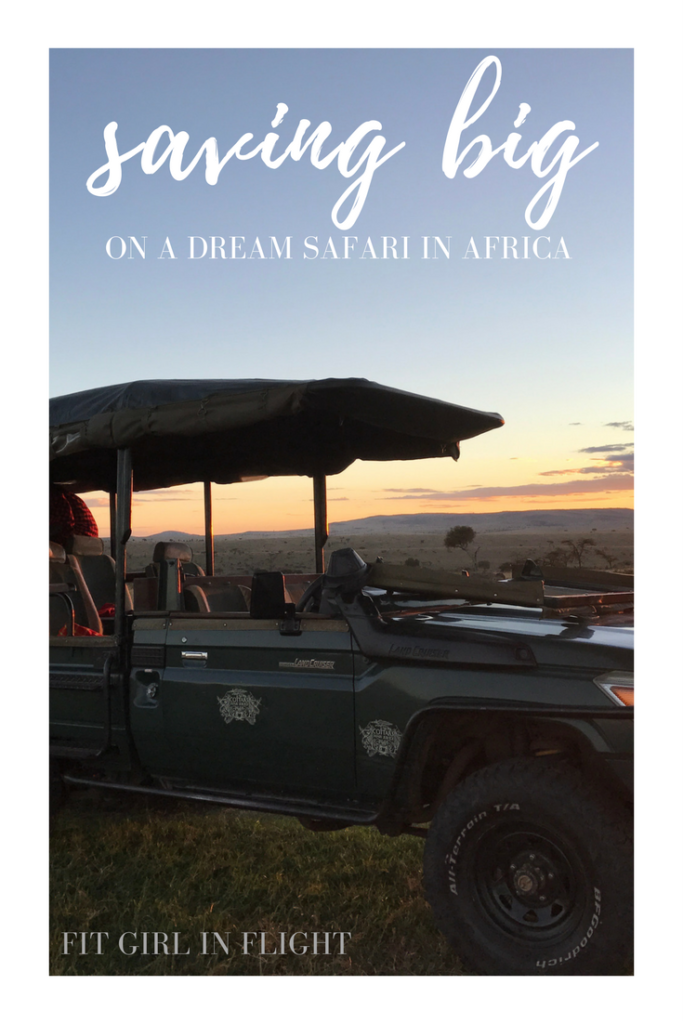 Saving on a dream safari in Africa