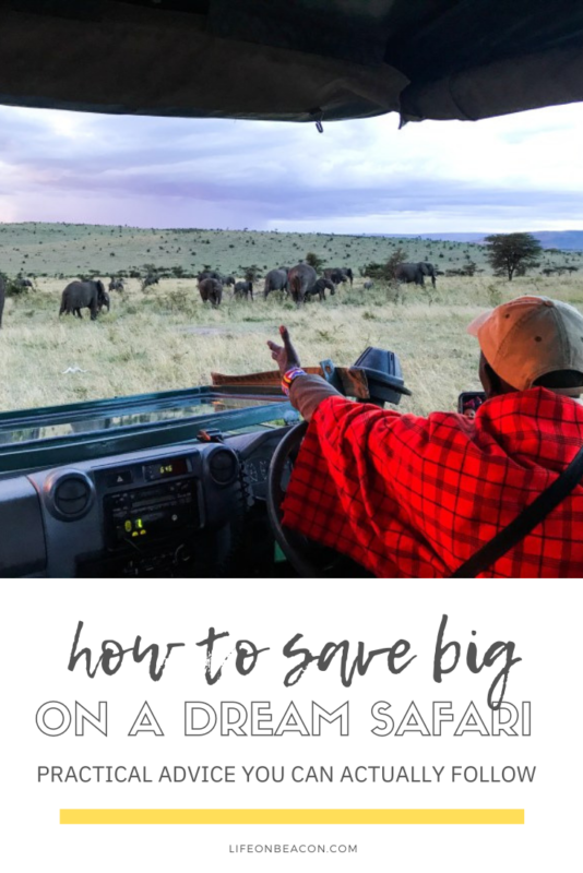 Saving on a Dream Safari