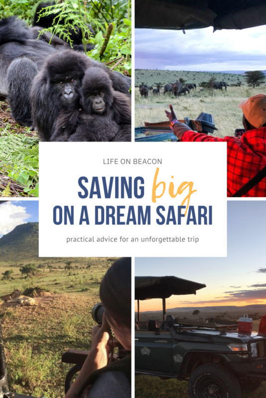 Saving on a Dream Safari