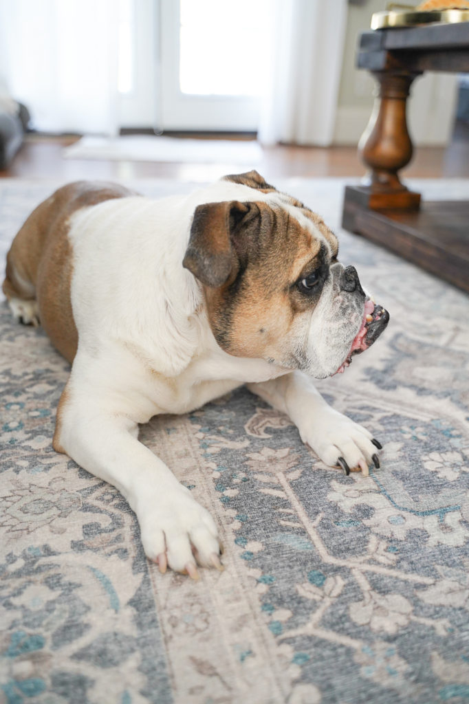 Honest Ruggable Rug review, almost a year later (spoiler: we love it!). Hendesi Heriz Abalone Rug