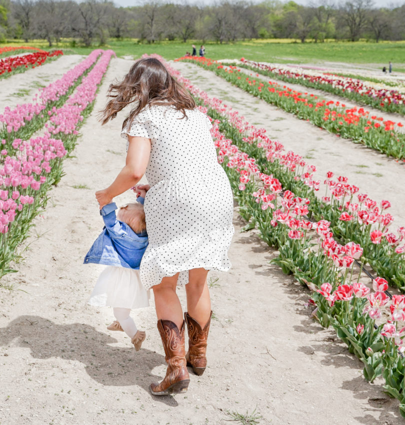 Visiting a Tulip Farm near Dallas